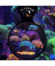 DeepSee Viewer, Flipper